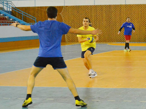 handbal jurnalisti emm